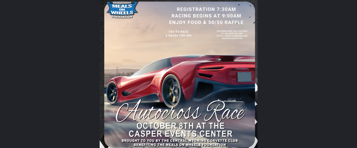 Autocross Race