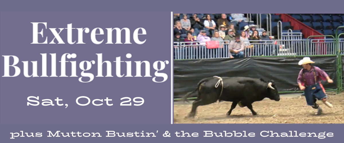 Extreme Bullfighting
