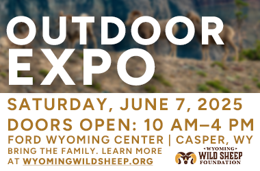 More Info for Wyoming Wild Sheep Foundation 2025 Expo & Convention